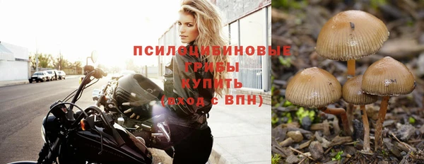 молекула духа Алзамай