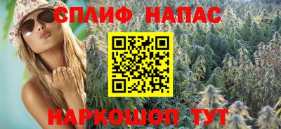 apvp Краснодар