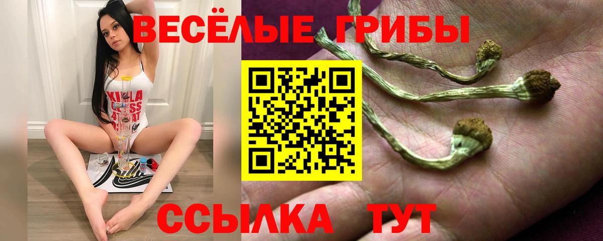 Псилоцибиновые грибы Cubensis Златоуст